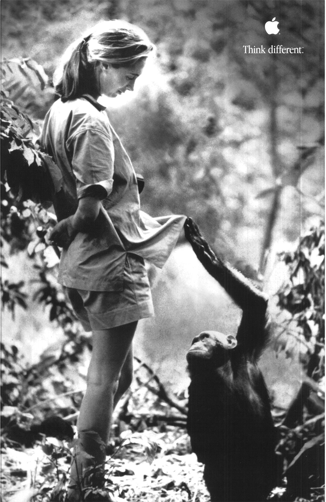 Original Apple Think Different Jane Goodall Poster Mac Computer 2000