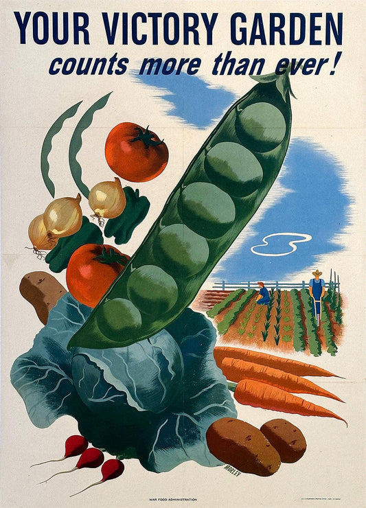 Original Vintage WWII Poster Your Victory Garden Counts More Than Ever by Morley 1945