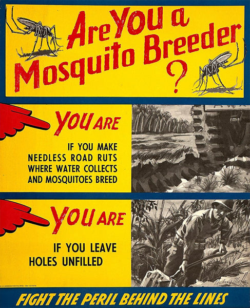 Are-You-a-Mosquito-Breeder-