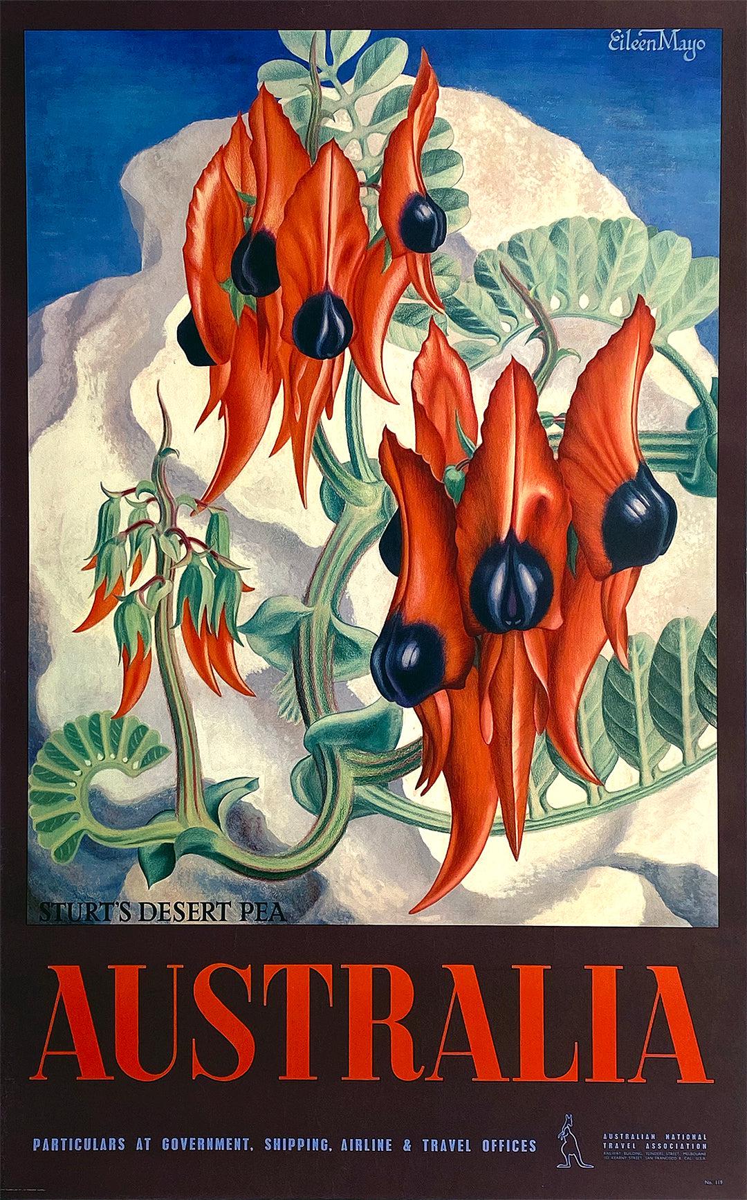 Original Vintage Australia Travel Poster by Eileen Mayo Desert Peas c1955