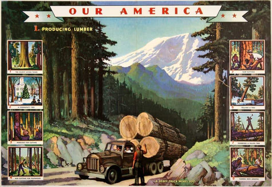 Original Vintage Teaching Chart Our America - Lumber 1943 Sponsored by Coca Cola