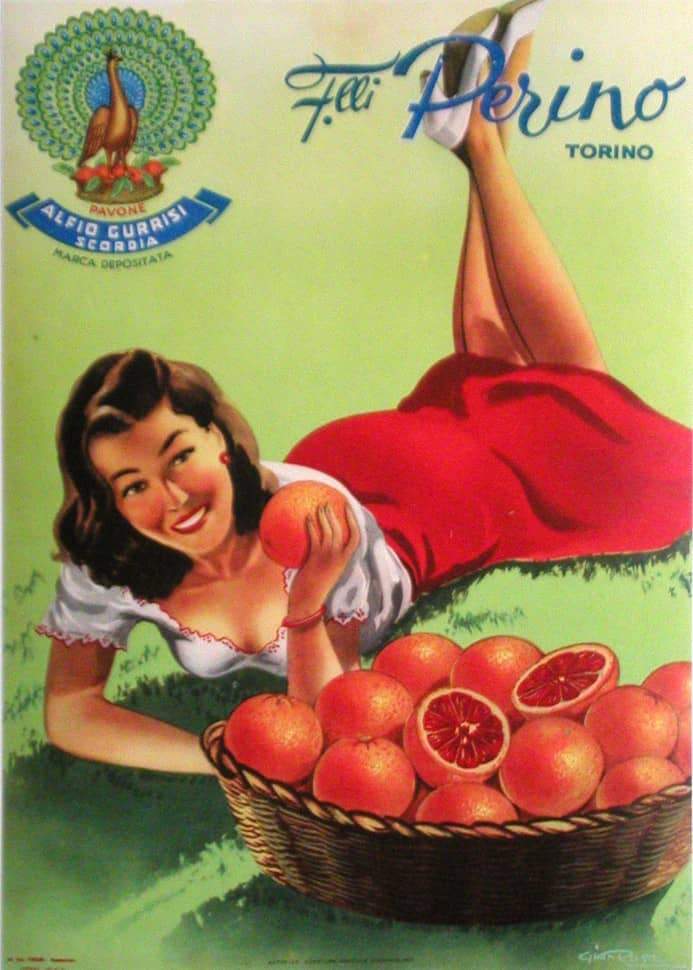 Original Italian Poster - Perino Oranges 1951 by Gian Rosa