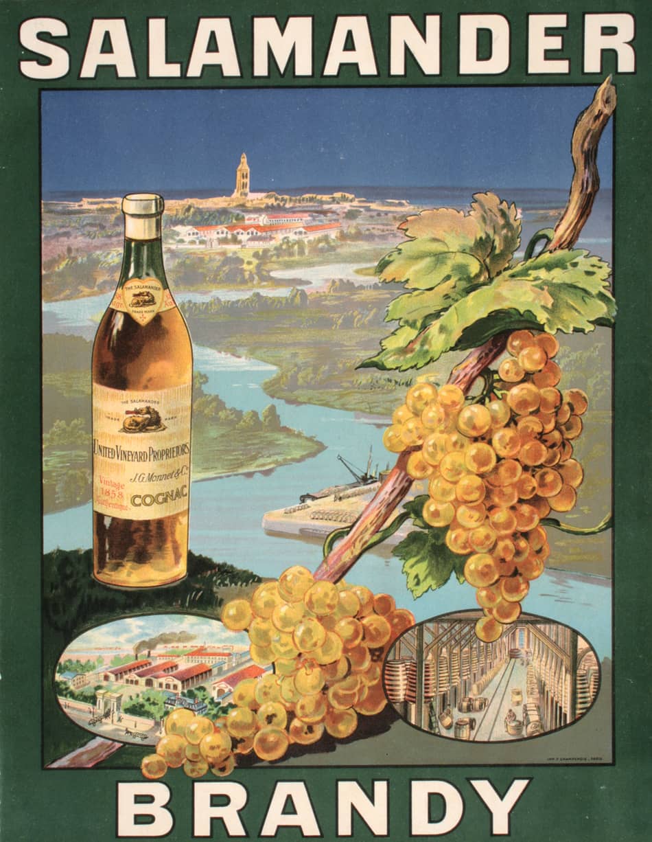 Original Vintage Brandy Poster Salamander c1935