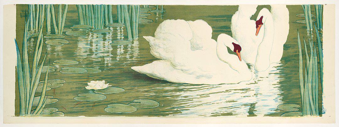 Original Vintage Swans Panel Poster Created by Alfred Muller 1903 Art Nouveau
